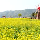 제주느낌 - 32114 | 제주느낌