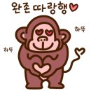 Y모터스(와이모터스) 이미지