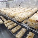 우성농장 이미지