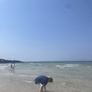 도영도영이 네이버블로그