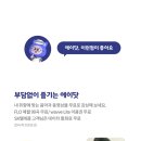 닷메이트