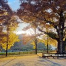 백봉초등학교(병설) 이미지