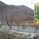 그린오토 이미지