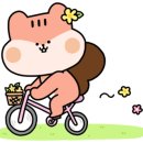 시청중앙어린이집 이미지