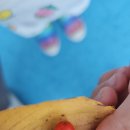 스마트도시농부협동조합 | 스마트한 농부 친환경 텃반비료 비옥한12