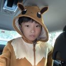 크록스NC 네이버블로그
