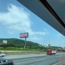 종달리수국길 이미지