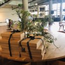 아이엠모터스 이미지