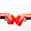 에밋 복싱 이미지