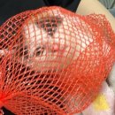실이 그루밍 네이버블로그