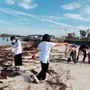 우도중학교 이미지