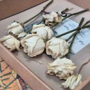 B-objet | [부케 말리기] 셀프 웨딩 부케캔들 만들기 내돈내산 후기