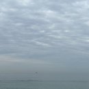 강릉 씨에스타 게스트하우스 경포본점 이미지