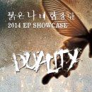 이피(EP)