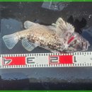 현대낚시 이미지