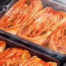 LG전자 디오스 김치톡톡 217L 뚜껑식 김치냉장고 후기 │ 아삭한 김치 맛 오래 유지되는 비밀