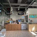 정선 가리왕산 케이블카 이미지