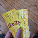 포레스토리유아숲생태체험원 | 칠곡 꿀벌나라 테마공원 아이와 가볼만한곳, 주말 현장 예약 팁 및 주차 정보 솔직 후기