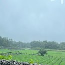 다원다방 이미지