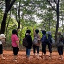 김해시치매안심센터 이미지