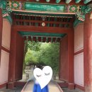 쌍송배기 단풍나무길 | 전주 경기전 어진박물관 아이와 다녀왔어요