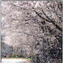 장원약국 이미지