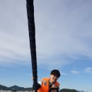 가야고등학교 이미지