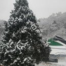 등고개농장 이미지