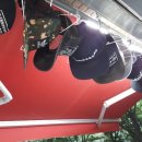 백조 명품 세탁 이미지