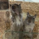 둔지로 | 대전실내데이트 가볼만한곳 둔산동 마리앤쥬 혼자 다녀온 후기