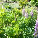 바람에정원 민박 이미지