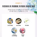 유니에플라워