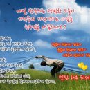 코소랑 Daum카페