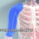 장민욱뇌비게이션신경과의원 이미지