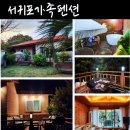 제주코롱코롱 | [서귀포 대가족 펜션] 제주 독채숙소 코롱코롱 숙박후기!!