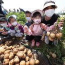 농촌진흥청 국립식량과학원 이미지