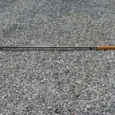 골드 마운틴77 이미지