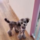 오늘도 너에개 이미지