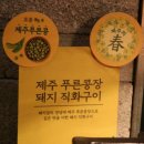 제주삼다도야지 | 계절밥상 봄신메뉴 향긋한 제주의봄을 먹었어요(원마운트)