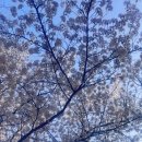 문구야놀자울산