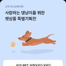 건강하개 이미지
