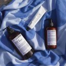 로즈비치 이미지