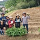 여자만마을 네이버블로그