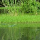 매일엘피지 이미지