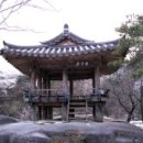 군자정 Daum카페