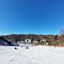 비발디렌통령 이미지