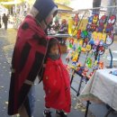 원도심 은행나무 이미지