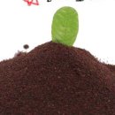 은애농장 이미지