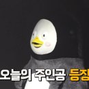 족발야시장 구리수택점 | 족발야시장 구리수택점, 직화불족 포장해왔어요