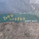 영진농장2 이미지